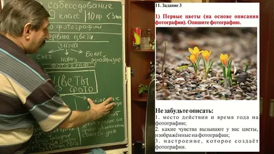 Как успешно пройти собеседование на ОГЭ по русскому языку | Блог РСВ