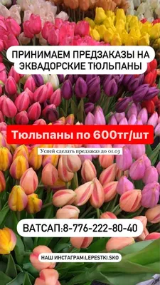 Поздравление от ветеранов педагогического труда с 8 марта., ГБОУ Школа №  1551, Москва