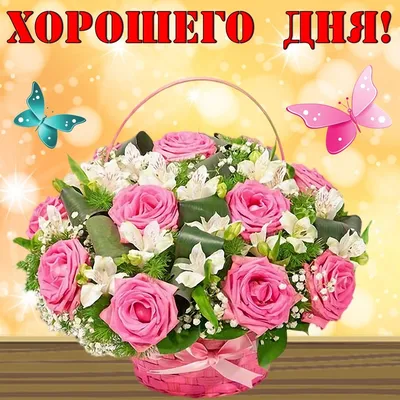 Открытки для ватсап \"С Днем Рождения!\" женщинам (1312 шт.)