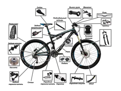 Анатомия горного велосипеда - Статьи | Bikedivision - интернет-магазин  велосипедов по доступным ценам | BikeDivision.ru