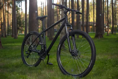 ТОП-3 велосипеда для новичка — полезные статьи интернет-магазина ВелоГрад
