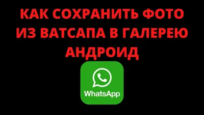 Настройки конфиденциальности WhatsApp | Интернет вопросы