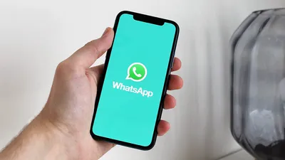 Как из любого фото создать стикер в WhatsApp: инструкция - Hi-Tech Mail.ru