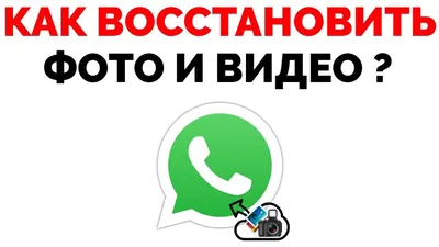 Что такое статус в Ватсап и как им пользоваться | AppleInsider.ru