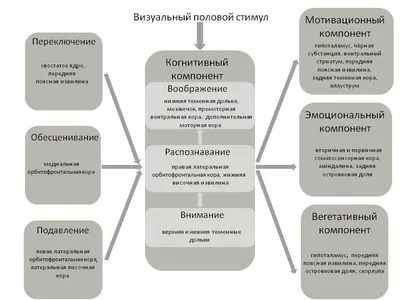 Препарат для возбуждения Стоит 10 дней - купить с доставкой по выгодным  ценам в интернет-магазине OZON (1104520048)