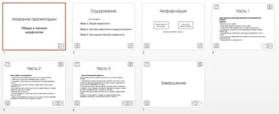 Размеры презентации или слайда для прямого эфира в Instagram. | Андрей  Шарапов | Дзен