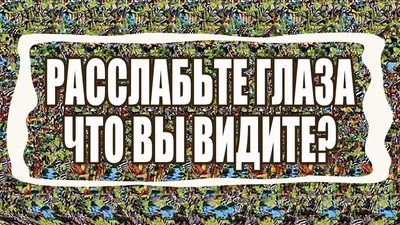 Издательство АСТ Антистресс для глаз. 75 стереограмм. Тренировка