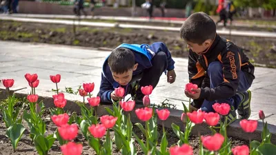 Международный Женский День Розовый Фон Открытка До 8 Марта Карточка На 8  Марта Женский День — стоковая векторная графика и другие изображения на  тему Абстрактный - iStock