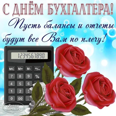 21 ноября — День бухгалтера в России | 21.11.2021 | Каменск-Шахтинский -  БезФормата