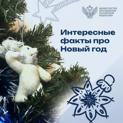 Чорноморська інформаційна служба - 🎄 До Нового года осталось 5 дней 😉 |  Facebook