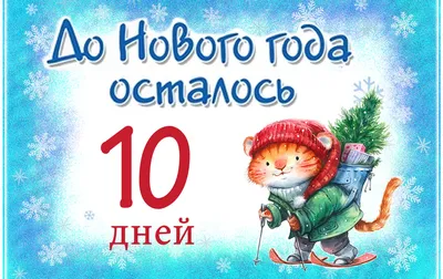 Поскорей бы Новый год! Адвент-календарь на 10 дней с магнитами (дом) |  Буквоед Арт. 978-5-04-095204-5