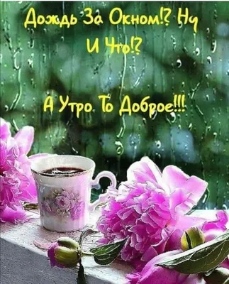 Доброе утро: фото в дождливый день - snaply.ru