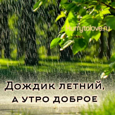 Идеи на тему «Доброе дождливое утро!» (190) | дождливое утро, доброе утро,  открытки