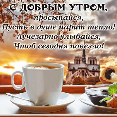 ДОБРОЕ УТРО! 🌞 ПОЗИТИВА 🍊🍎🍋 и главное ЗДОРОВЬЯ ! ❤😉💐😋❤ Улыбнись, и  весь мир улыбнется тебе в ответ! | Кофейные карточки, Доброе утро, Смешные  открытки