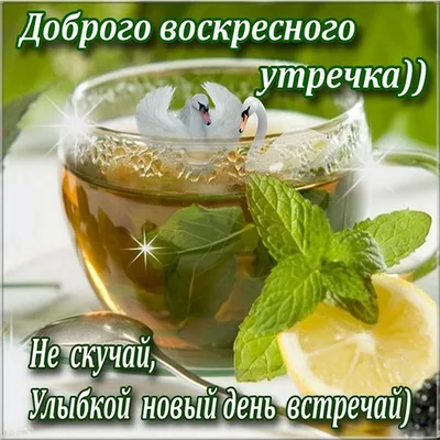 Добрейшего утра! Хорошего дня 🤗😊😜🌞🌞🌞🌈 #доброеутро #настроение  #позитив #gudmorning #мантра #аффирмации #юмор #кофе #завтрак #улыбнись… |  Instagram