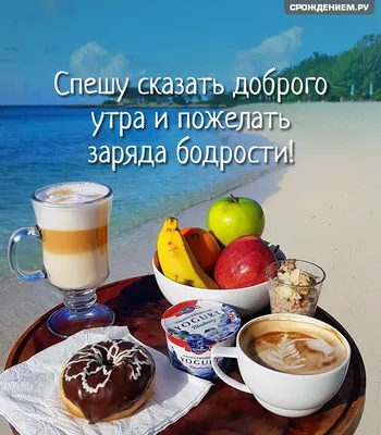 Доброе утро! Чашечка ароматного кофе с утра на берегу моря Всем хорошего  дня! Фото:... - Городской Портал Сочи