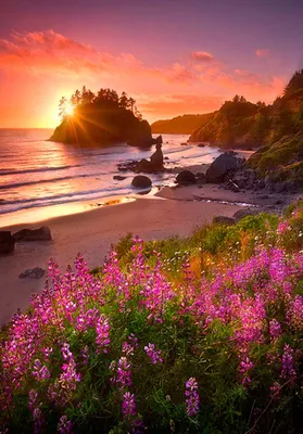 утренний кофе на солнечных лучах рассвета на берегу моря Стоковое  Изображение - изображение насчитывающей красивейшее, чувствительно:  215708177