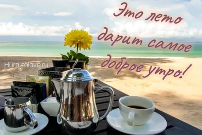 Чашка кофе дома и чашка кофе на берегу моря - это две абсолютно разные  чашки ☕ Доброе утро 🌅 А вы любите кофе… | Instagram