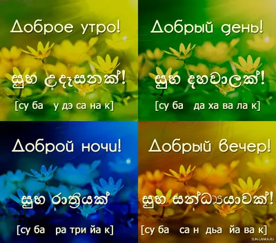 С очень ДОБРЫМ УТРОМ 🌺 красивые картинки - Самые лучшие открытки с добрым  осенним, зимним, весенним, летним утром 2023 - Доброго ранку!