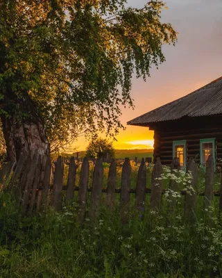 Разрушенный дом в заброшенной деревне на поле летом Stock Photo | Adobe  Stock