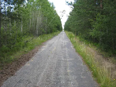 Живописный пейзаж сельской местности - дорога, уходящая вдаль Stock Photo |  Adobe Stock