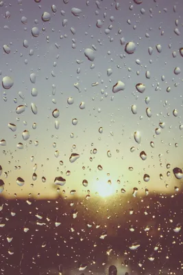 Дождь и солнце. :: Руслан – Социальная сеть ФотоКто