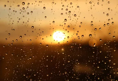 Дождь и солнце | Пикабу
