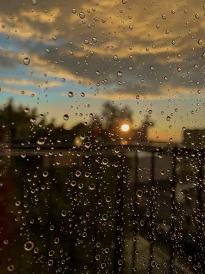 Солнце сквозь дождь (50 фото) - 50 фото