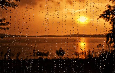 Дождь и солнце - красивые фото