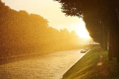 Дождь и солнце картинки - 57 фото