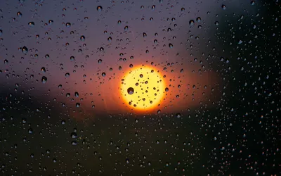 солнце после дождя) :: Екатерина Чунту – Социальная сеть ФотоКто