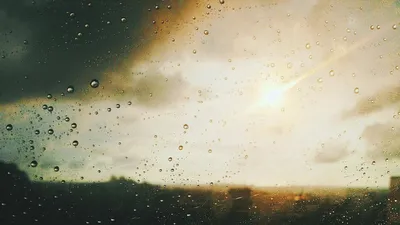 Дождь и солнце - красивые фото