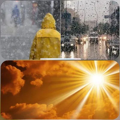 Дождь и солнце будут чередоваться в Камышине в выходные | 07.10.2023 |  Камышин - БезФормата