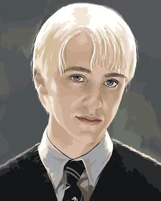 icon draco malfoy | Гарри поттер фотографии, Гарри поттер, Драко малфой