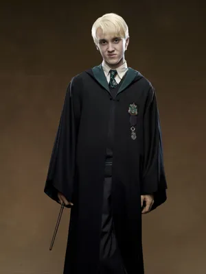 Ростовая фигура Драко Малфой (Draco Malfoy) вид 3 (679x1800 мм) - купить по  выгодной цене | Магазин шаблонов Принт100