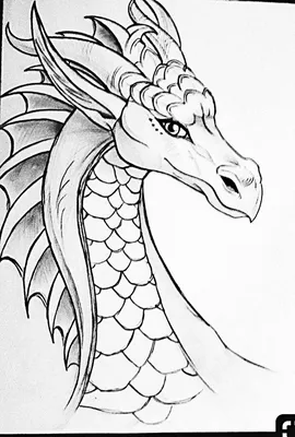 Идеи для срисовки самые красивые в мире драконов (90 фото) » идеи рисунков для  срисовки и картинки в стиле арт - АРТ.КАРТИНКОФ.КЛАБ