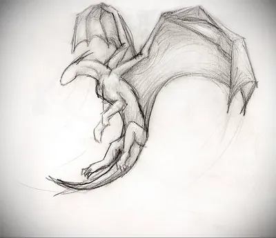 Картинки с драконами для срисовки (180 штук)