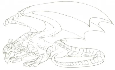 Рисунки драконов для срисовки (36 лучших фото)