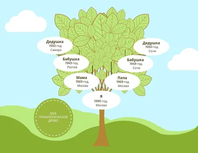 Генеалогическое древо - генеалогическое дерево семьи, цены на составление,  фото