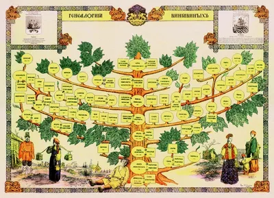 Заказать генеалогическое древо семьи - Портреты по фото и шаржи на заказ в  Самаре