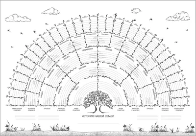 Генеалогическое дерево картинки - 67 фото