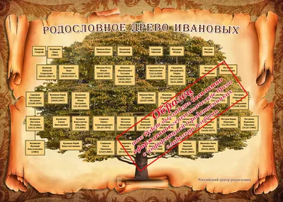 Образцы документов - Шаблон - Генеалогическое семейное древо | Шаблоны,  Раскраски, Родословная