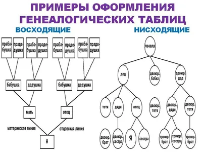 Дом Гуччи. Генеалогическое древо семьи Гуччи – Мода 24/7