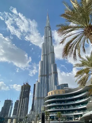 Что посмотреть в Дубае: пляжи, рестораны, Музей будущего