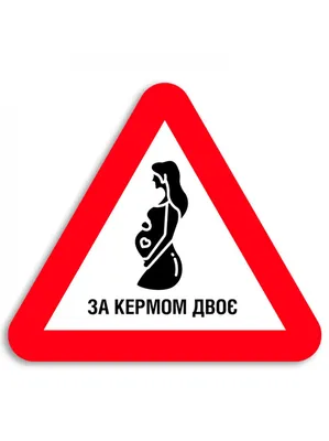 Двое Счастливых Грабителей Банков Празднуют Свой Успех Сидя Машине Которую  стоковое фото ©gorgev 240576502