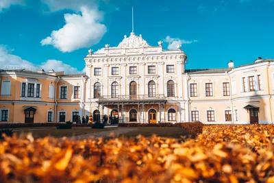 Восемь самых красивых дворцов Варшавы | Статья | Culture.pl