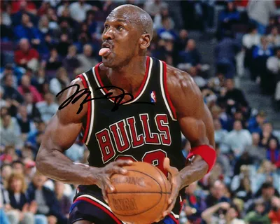 Автограф Майкл Джордан, баскетболист - Автограф Michael Jordan Nba Bulls -  Фото с автографом, Подписанная фотография, Автограф знаменитости, Подарок,  Автограмма, Размер 20х25 см - купить с доставкой по выгодным ценам в  интернет-магазине OZON (544287775)