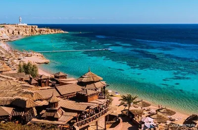 Опасное Красное море. Почему не закрыли пляжи Хургады в Египте, где акула  загрызла туристку. Мы недавно там побывали, делимся впечатлениями. | Мир в  кармане. | Дзен