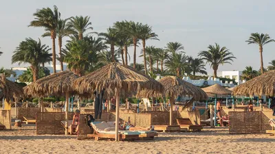 Sunny Days El Palacio 5*, Египет, Хургада - «Sunny Days El Palacio 2022  год, уставший отель с одним из лучших коралловых рифов в Хургаде» | отзывы