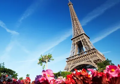 Как выглядит Париж с Эйфелевой башни?